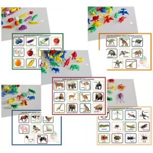 Educational Counters